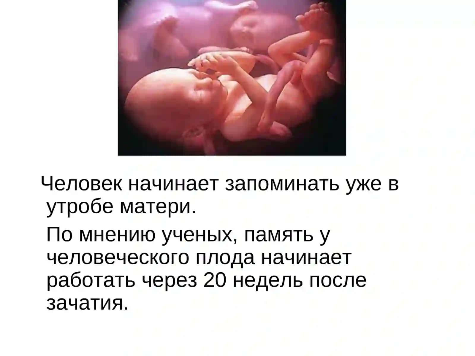 ПАМЯТЬ 3