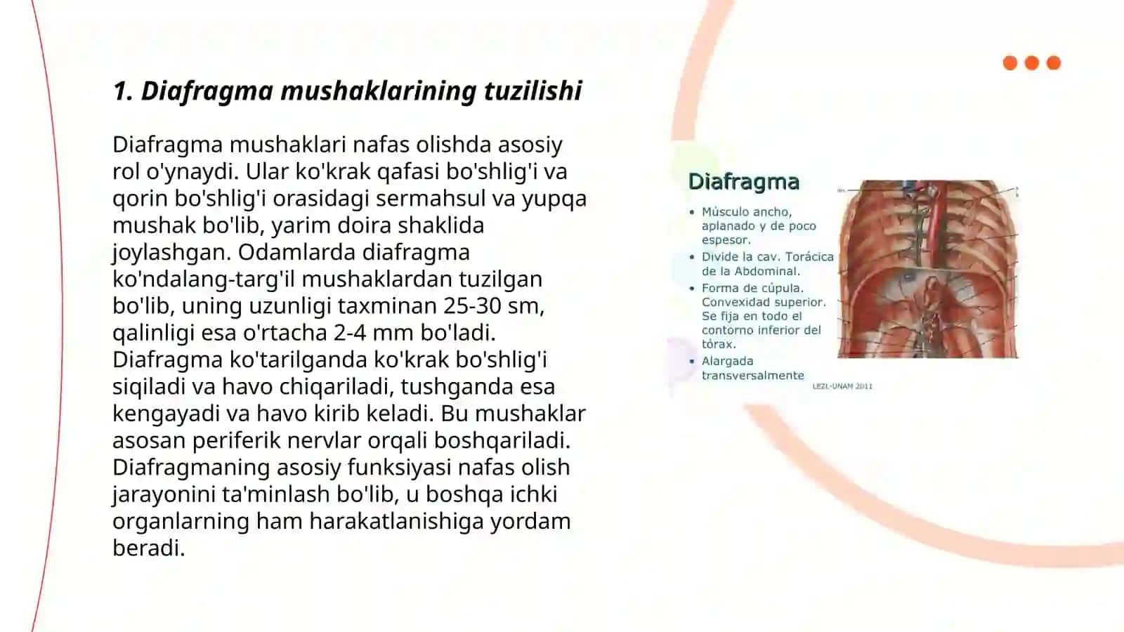 Diafragma mushaklari fiziologiyasi 3