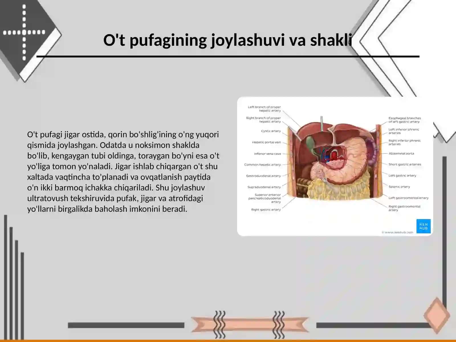 Ot pufagi kasalliklarining nur tashxisi 3