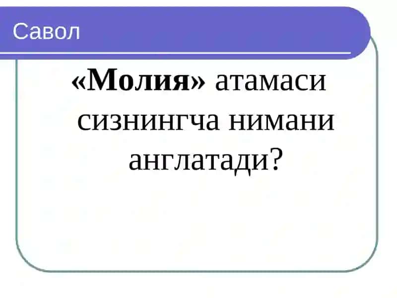 Молия фани 3