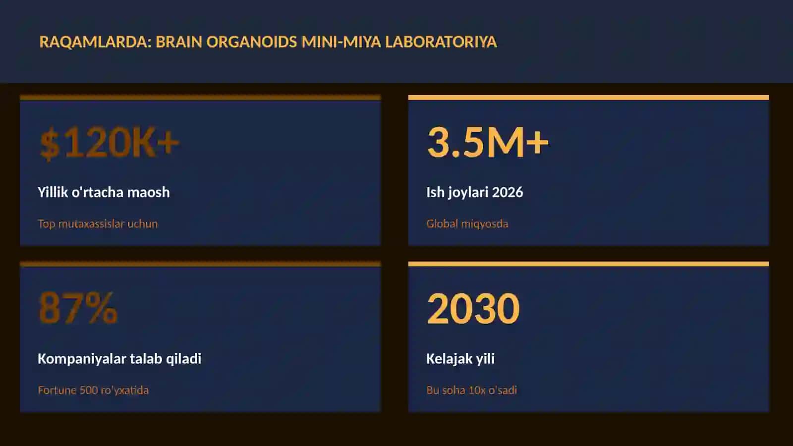 Brain organoids mini-miya laboratoriya 3
