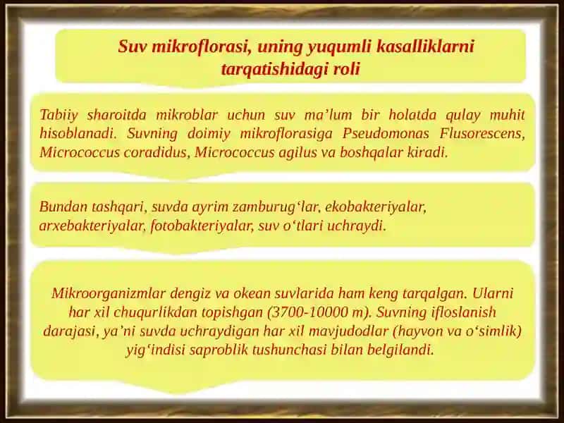 Mikroorganizmlar ekologiyasi. Suv, tuproq, havo mikraflorasi, ularni  o’rganish usullari. 3