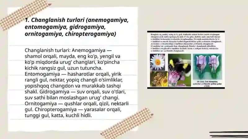 Changlanish biologiyasi va qõsh uruğlanish jarayoni 3