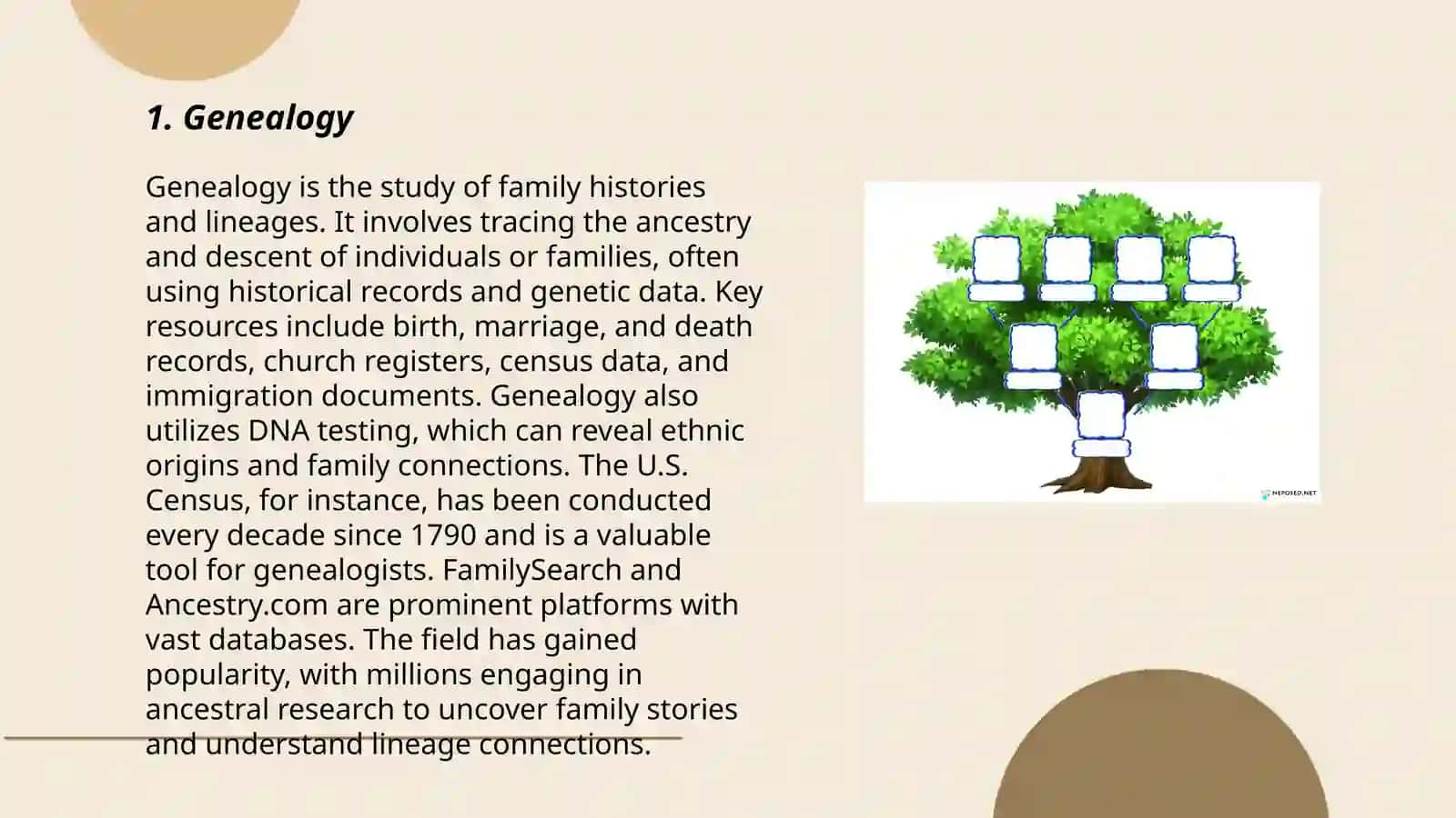 Family tree 3