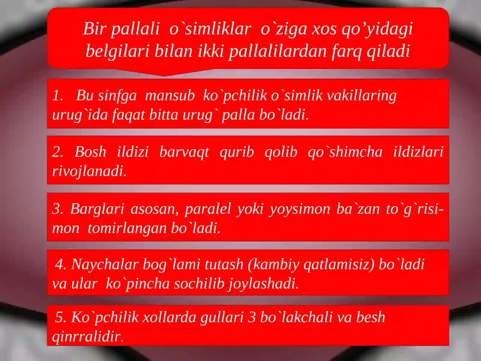 Bir pallalilar sinfi 3