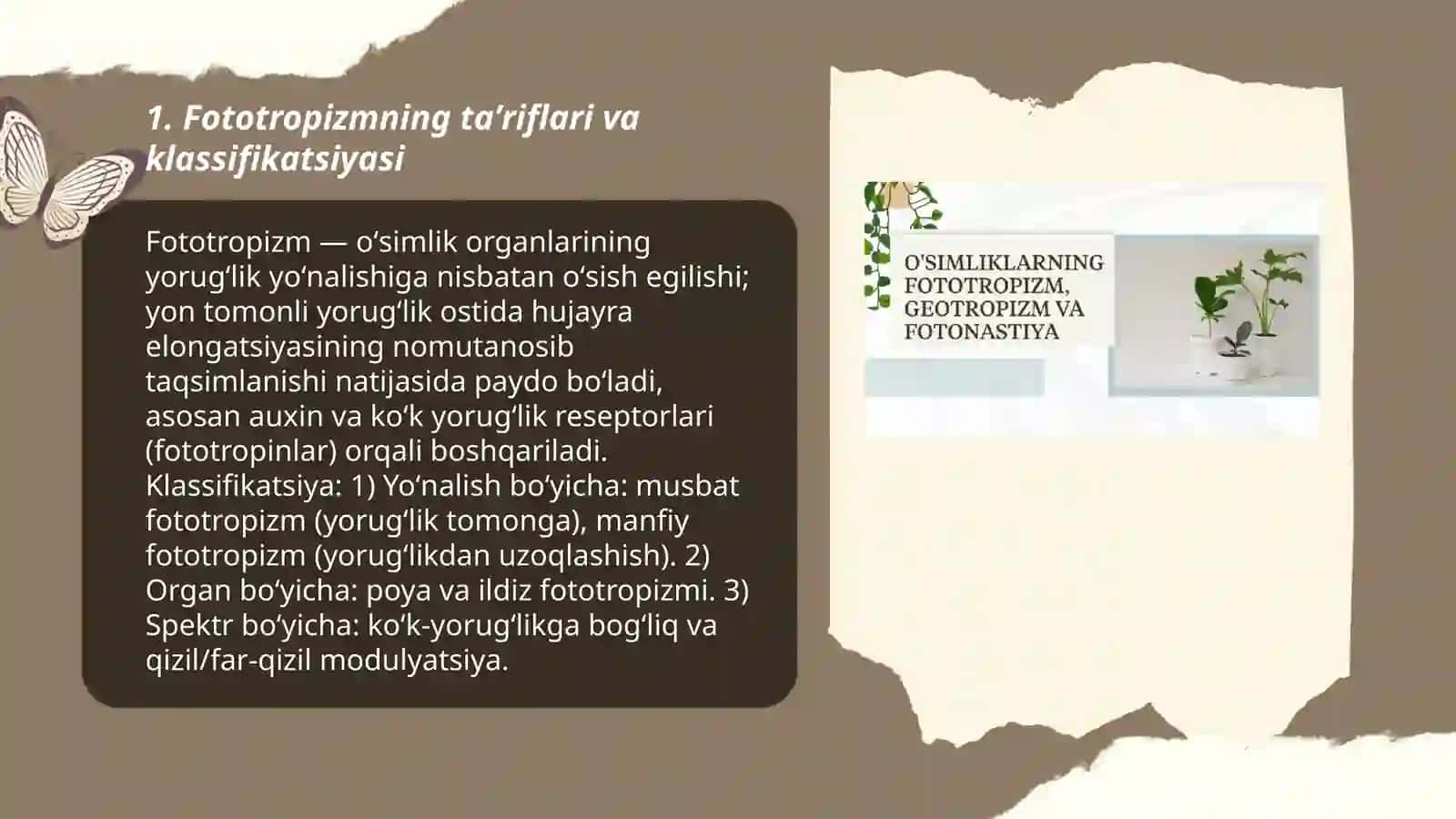 Oʻsimliklarda fototropizm fotonastiya va geotropizm hodisalarini kuzatish 3