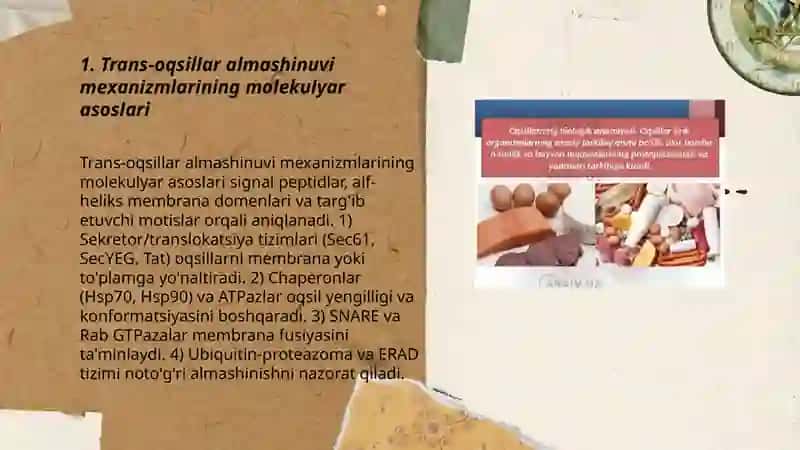 Oqsilar almashinuvi dizaminlanishi trans almashinishi 3