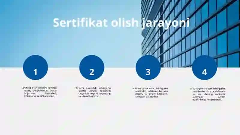 auditorlik malaka sertifikati 3
