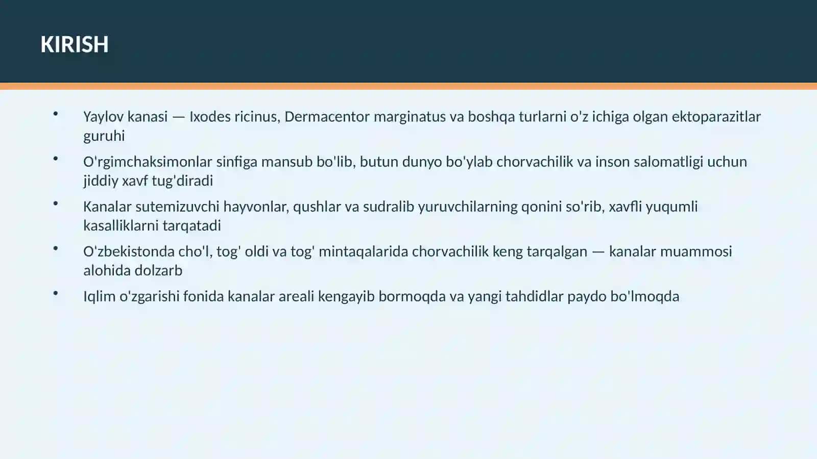 YAYLOV KANASI 3