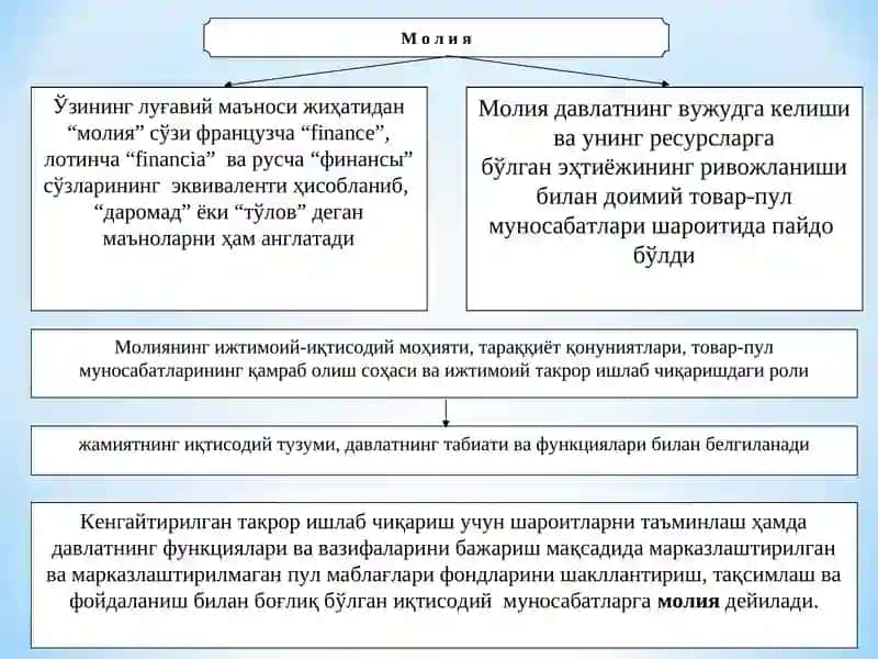 Молия 3