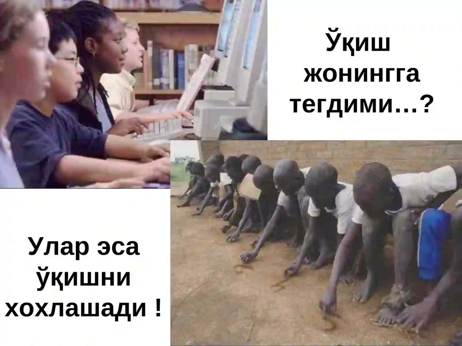 Ўйлаб кўр 3