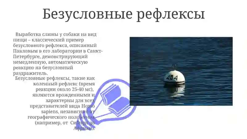 Физиологические рефлексы: условные и безусловные 3