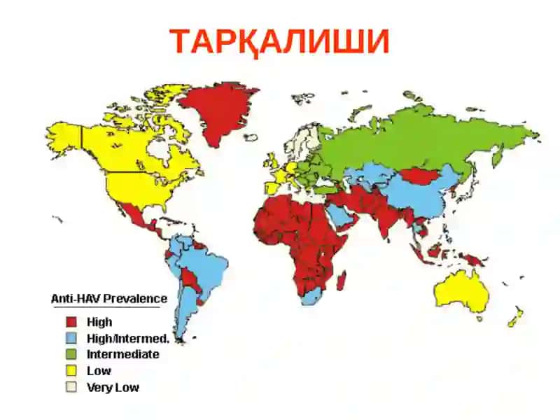 Вирусли гепатитлар 3