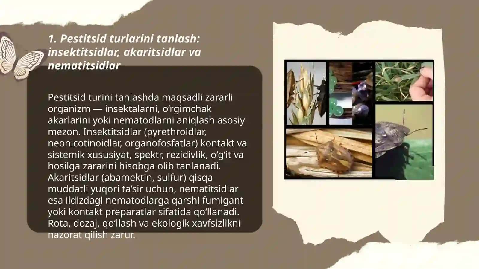 Pestitsidlarni qóllash 3