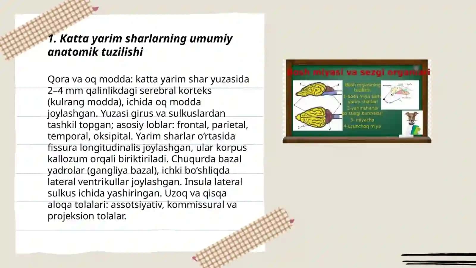 Katta yarim sharlar postlogi va uning tuzilishi 3