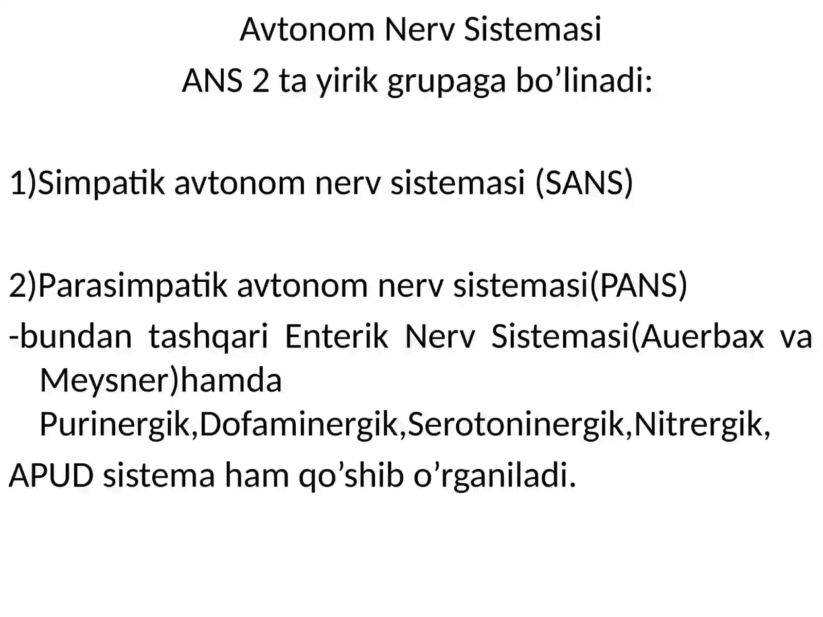 NERV SISTEMASI 3