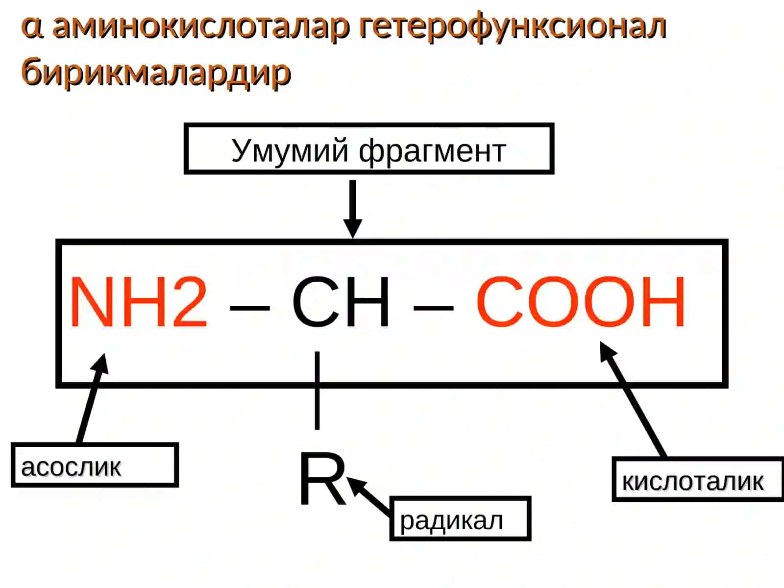 α-Аминокислоталар 3