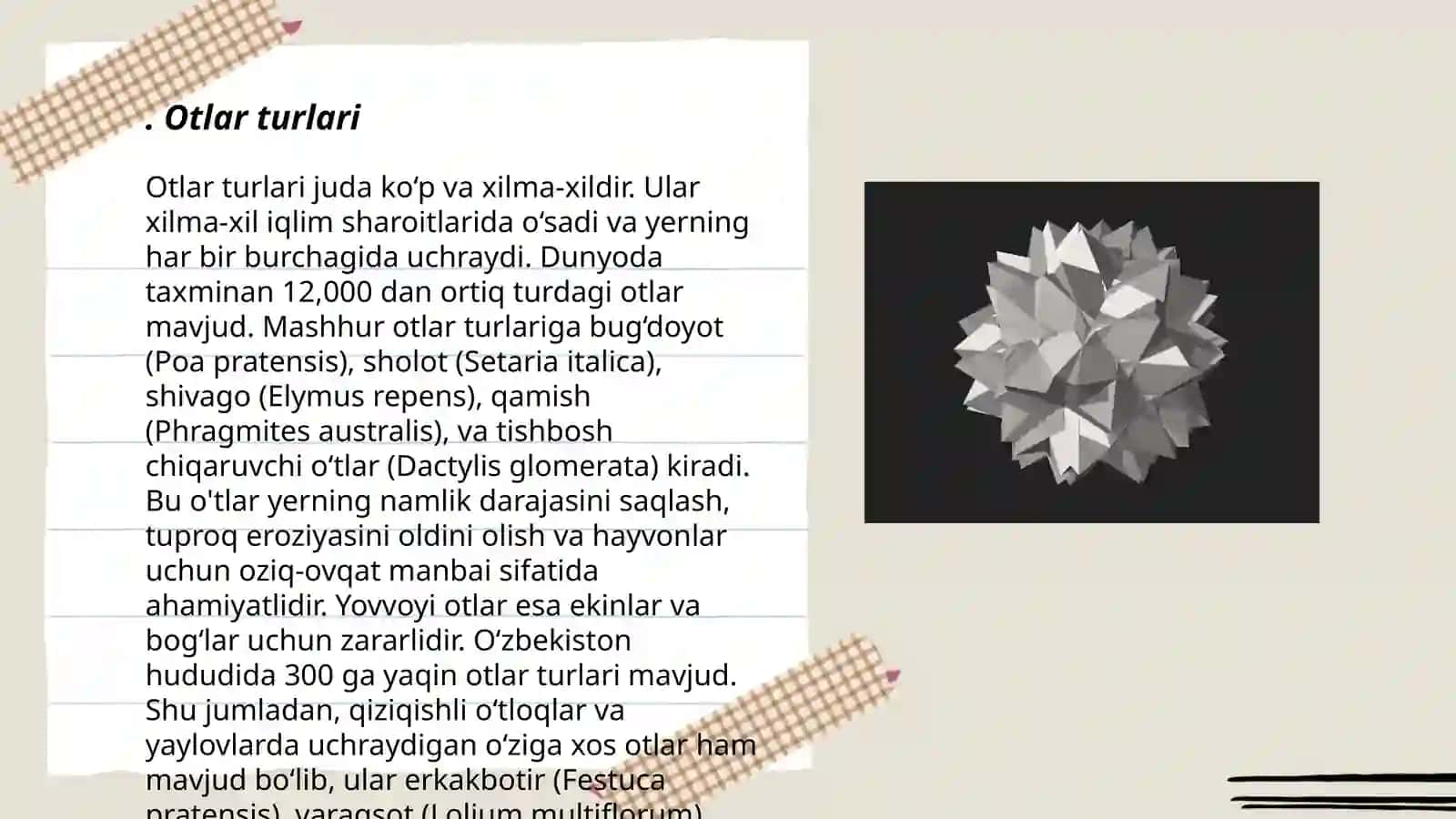 Mustaqil so'z turkumlarini ajratish tamoyillari 3
