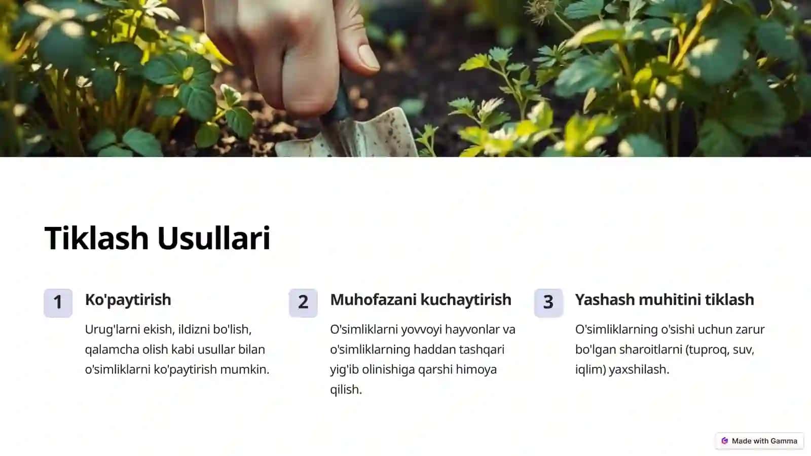 Dorivor O'simliklarning Zahirasini Aniqlash va Tiklash Usullari 3