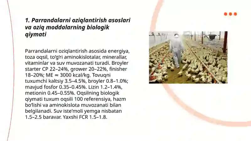Parrandalarni oziqlantirish texnalogiyalari 3