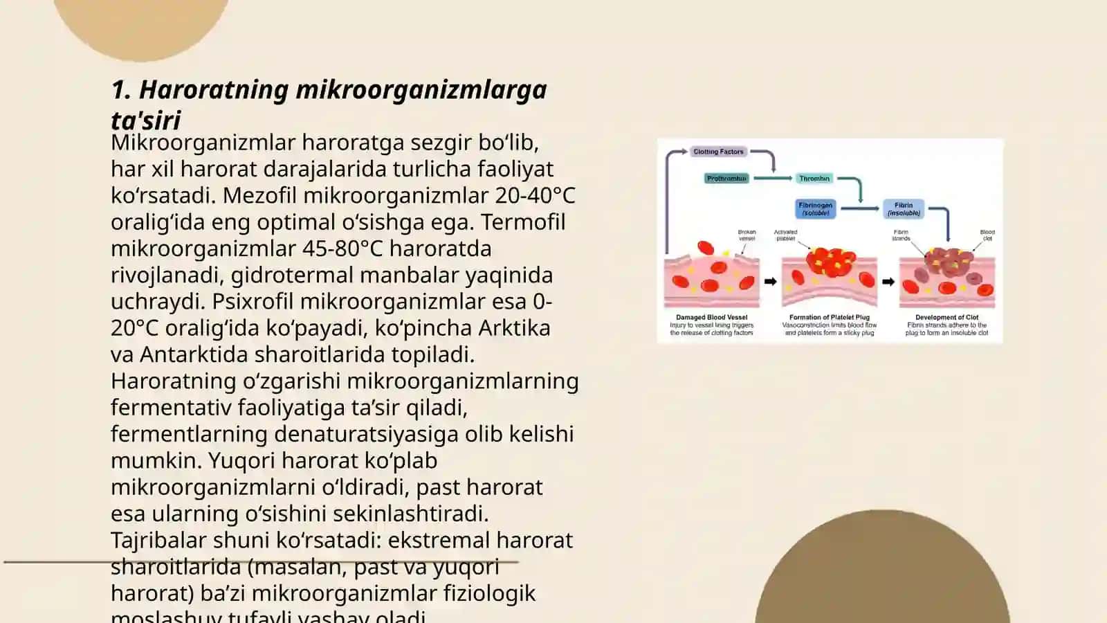 Tashqi muhit omillarining mikroorganizimlarga tasiri 3