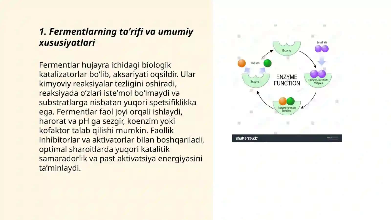 Fermentlar va fermentativ reaksiyalari 3
