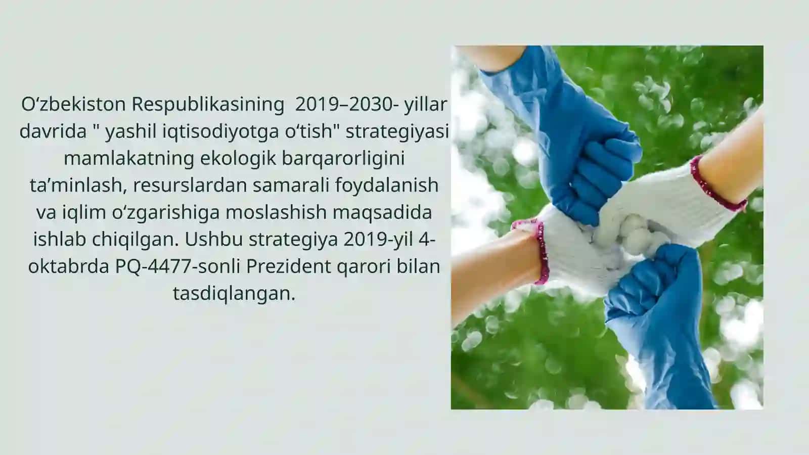 "Yashil Iqtisodiyot 2030" loyihasi 3