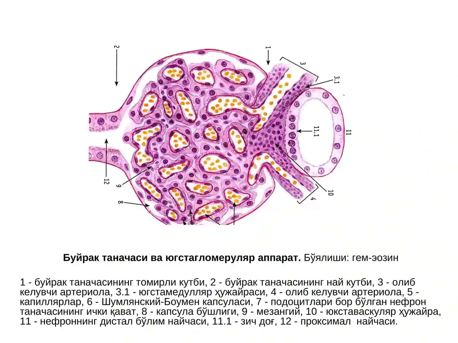 СИЙДИК АЙИРУВ СИСТЕМАСИ 3