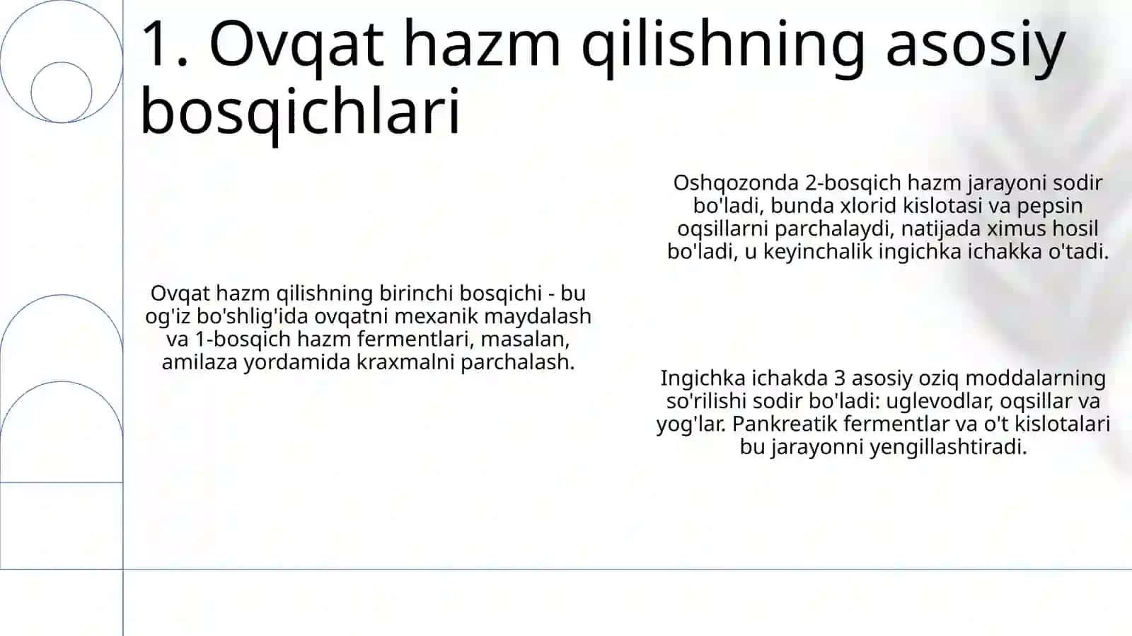 Hazm qilish fiziologiyasi 3