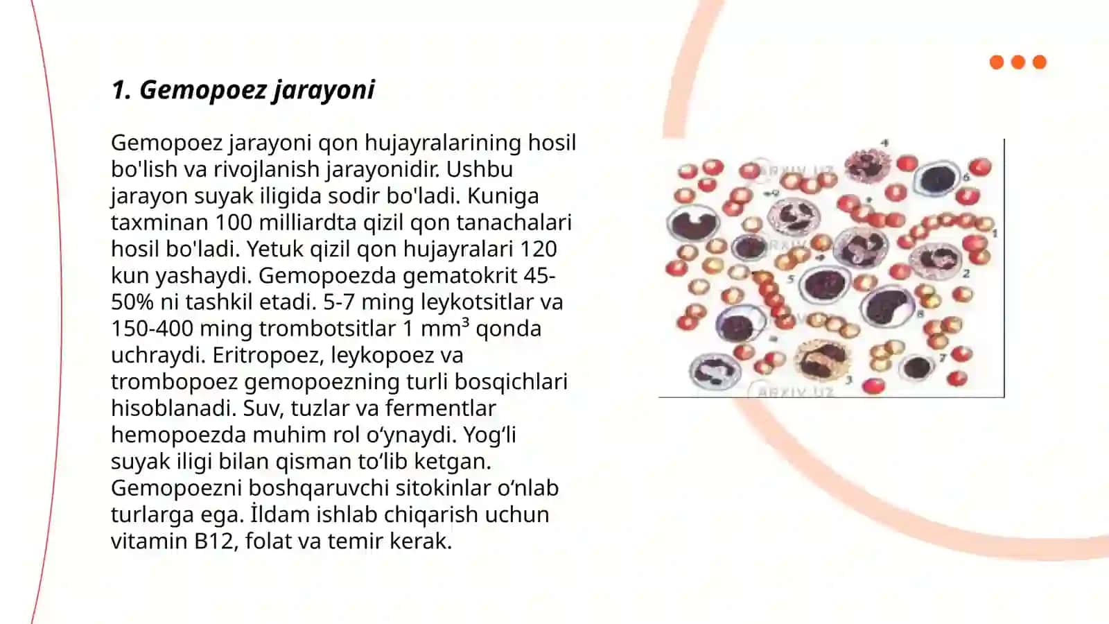 Gemositopoez.Gemositopoezni neyro-gumoral boshqarilishi 3