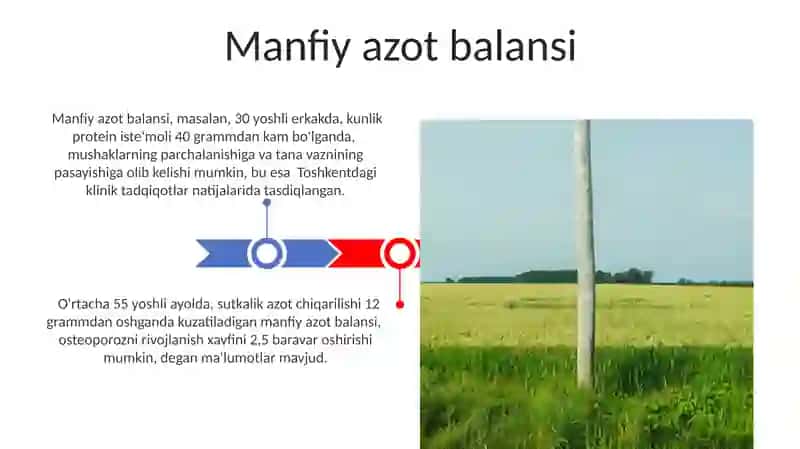 Azot balansi 3