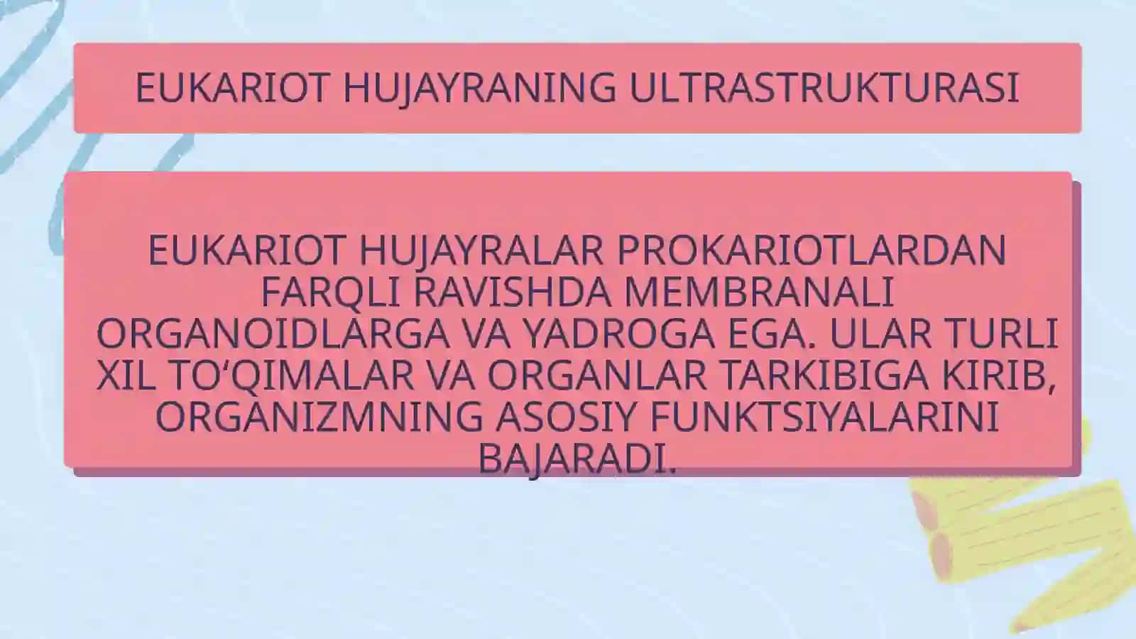 Eukariot hujayralarning ultrastrukturaviy tuzilishi. Hujayra umumiy organoidlari 3