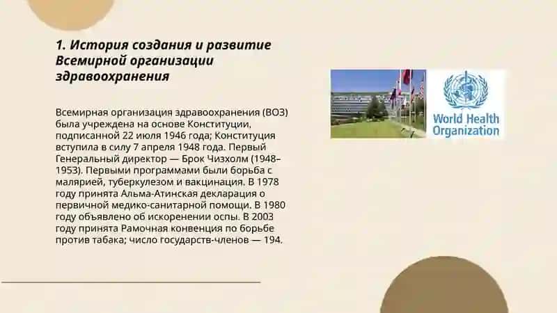 Всемирная организация здравоохранения 3