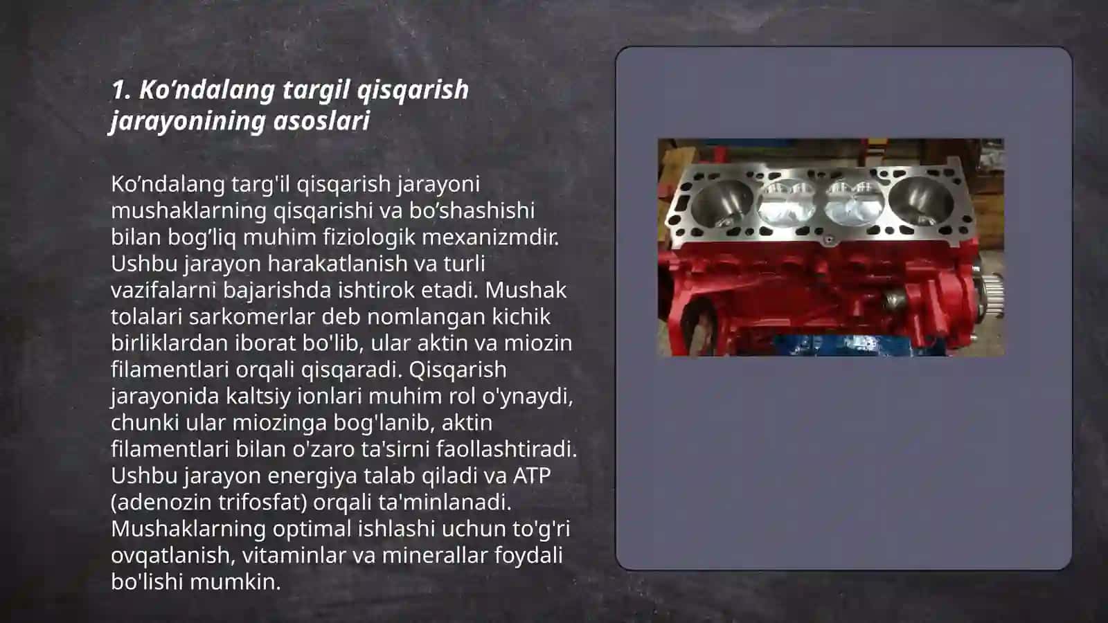 Umurtqalilarda ko’ndalang targil qisqarish jarayoni, sirpanuvchi ipchalar 3