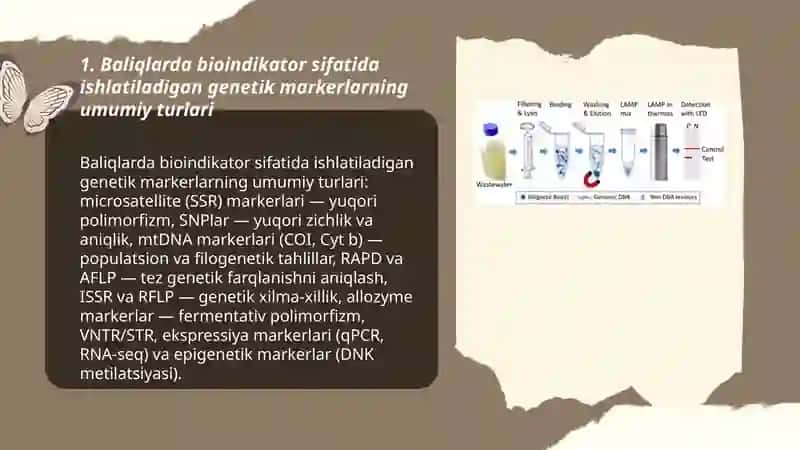 Baliqlarda bioindikator sifatida ishlatiladigan genetik markerlarni aniqlash 3