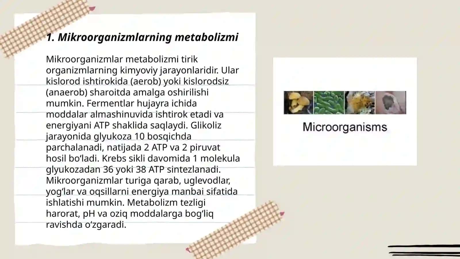 Mikroorganizmlarning fiziologiyasi 3