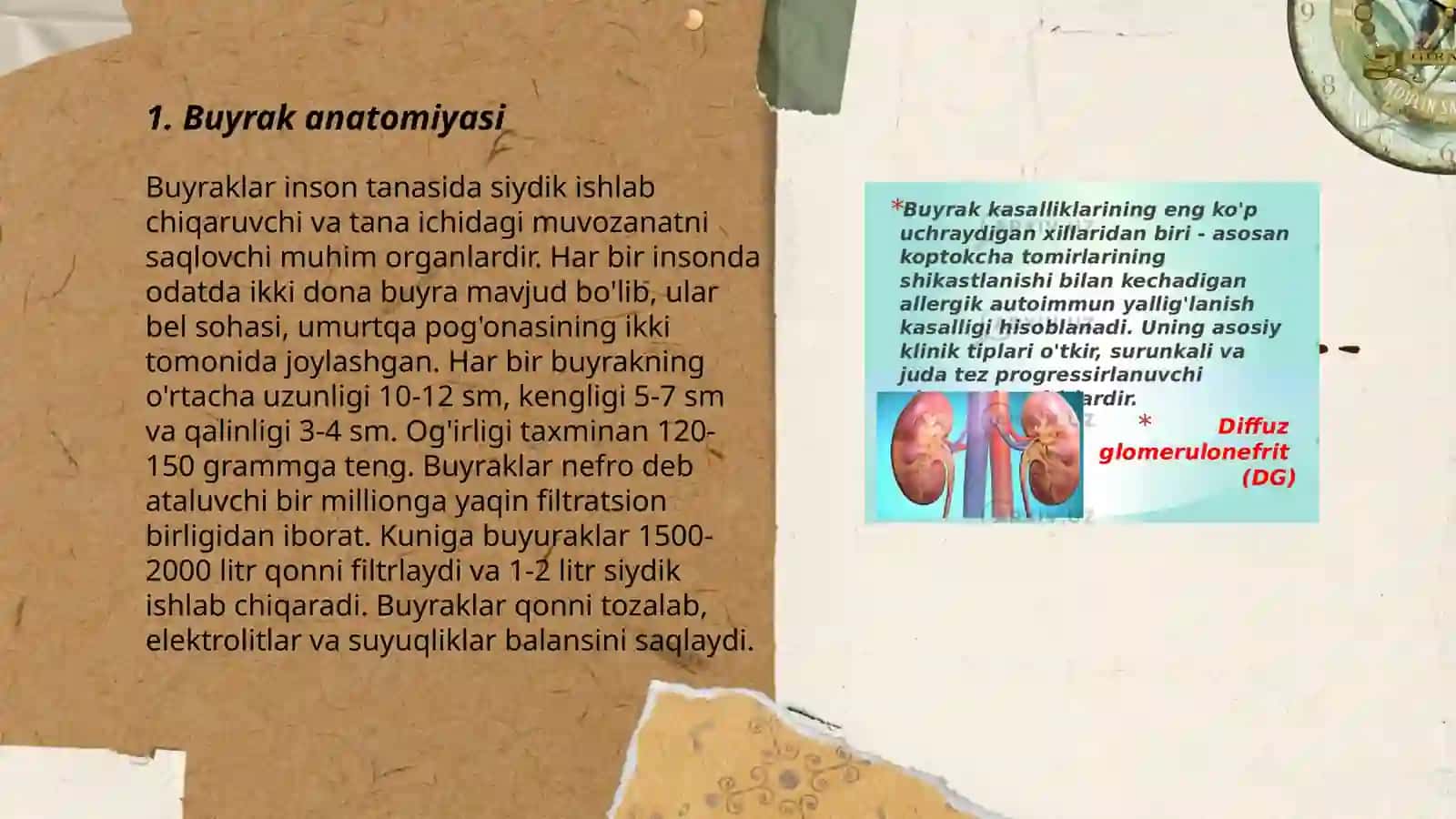 Buyrak 3