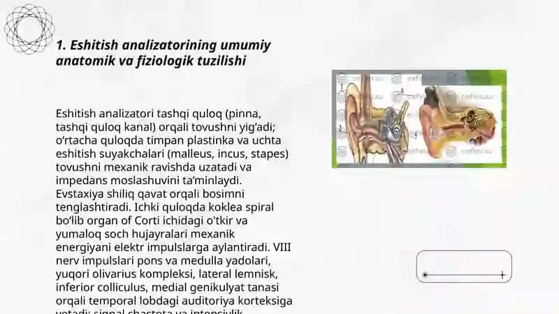 Eshitish analizatori va uning fiziologik xususiyatlari 3