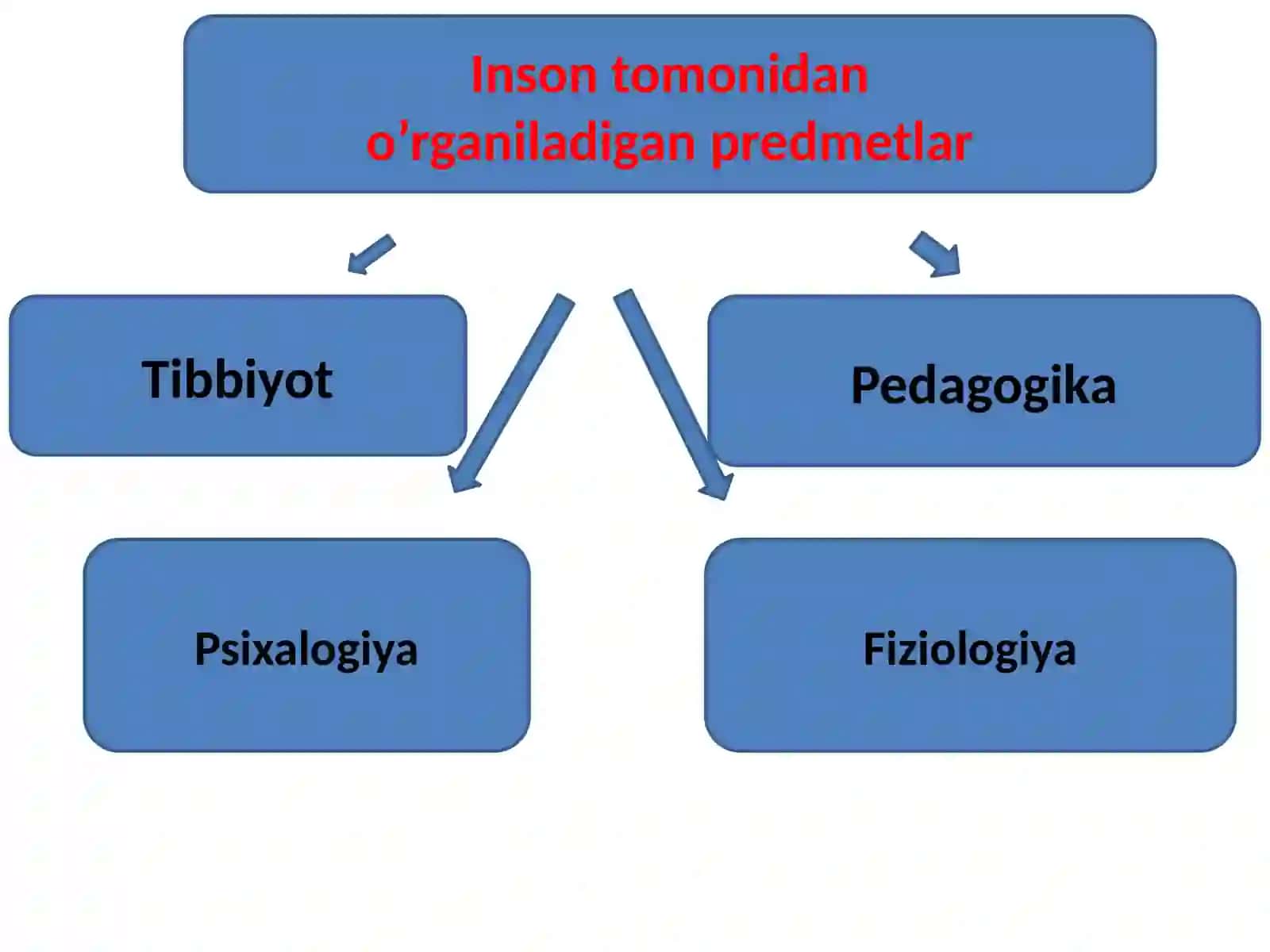 Insonning mazmun mohiyati 3