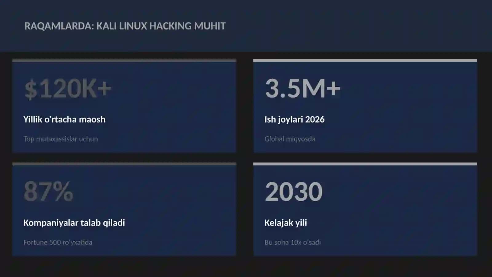 Kali Linux hacking muhit 3