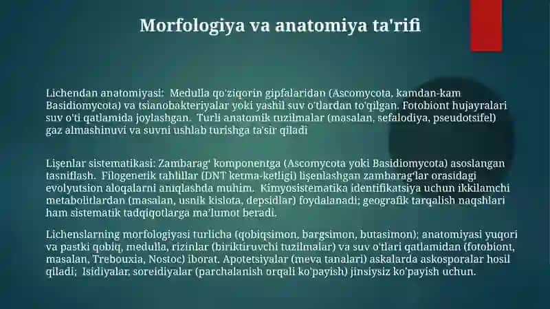 Lishayniklar boʻlimi xos boʻlgan sistematik belgilarni aniqlash 3