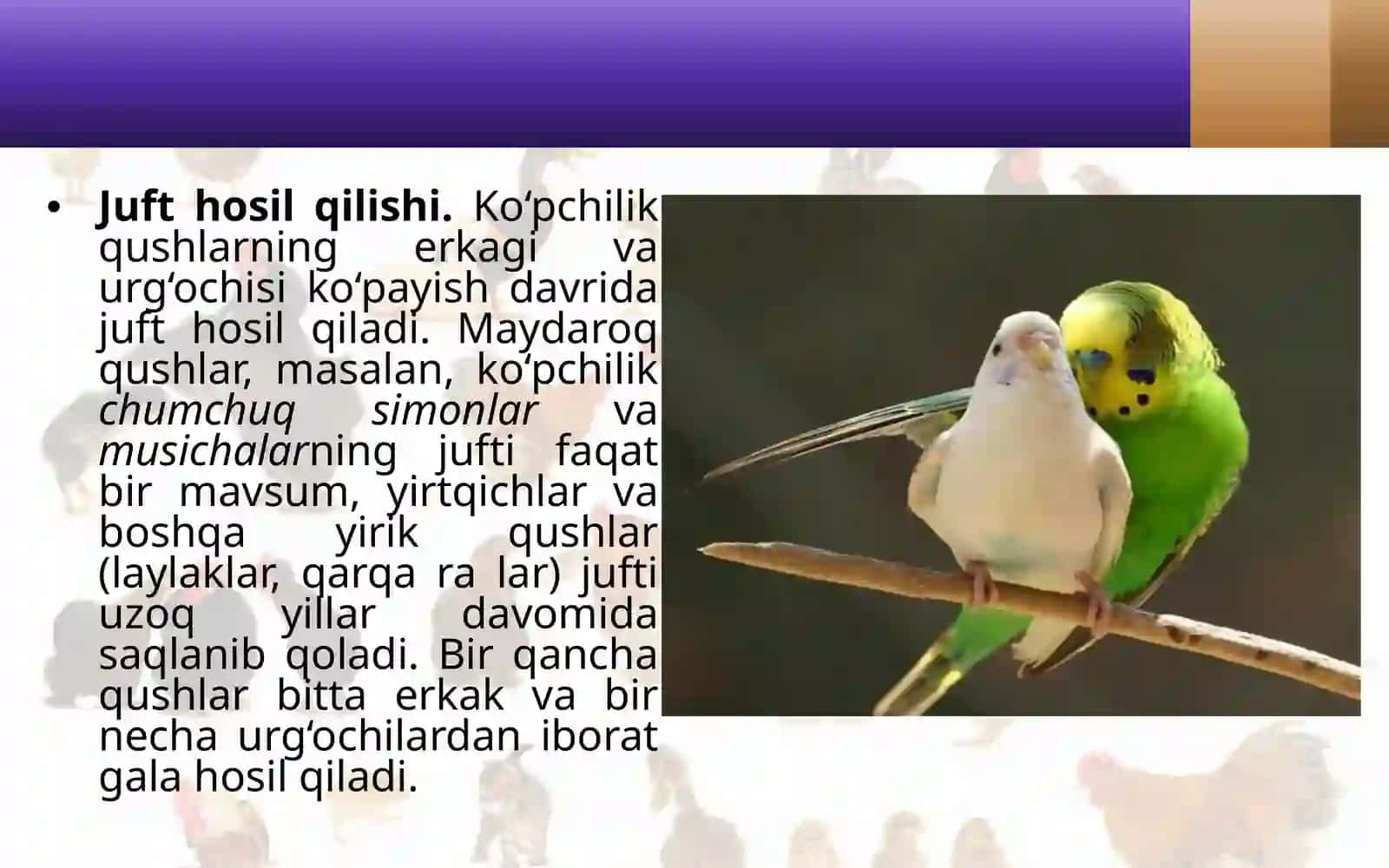 Qushlarning ko‘payishi, rivojlanishi va kelib chiqishi 3