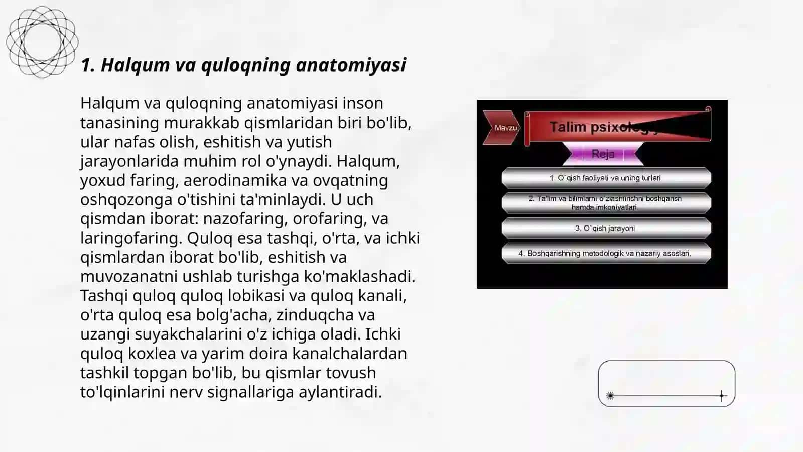 Fiziologiyadan Sensor tizimining yoshga oid retseptlar-analizatorlar 3