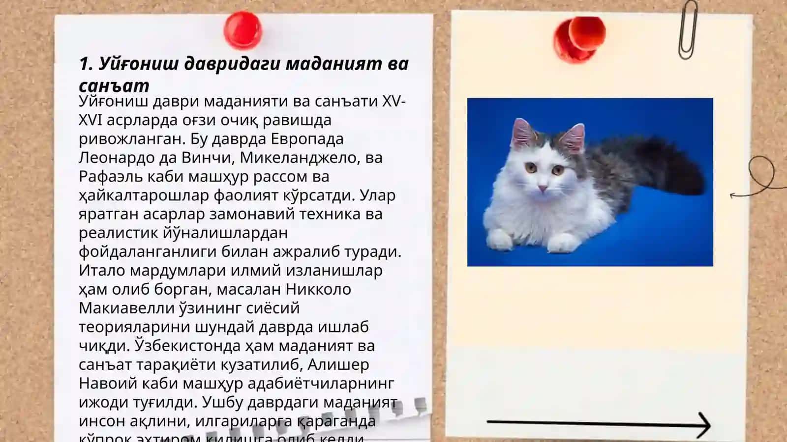 Уйгониш давридаги маданият ва санъат 3