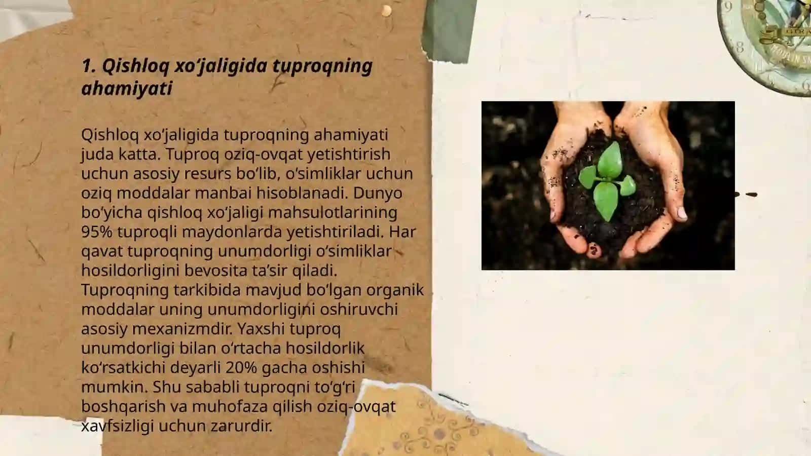 Tuproqining inson xayotidagi roʻli 3