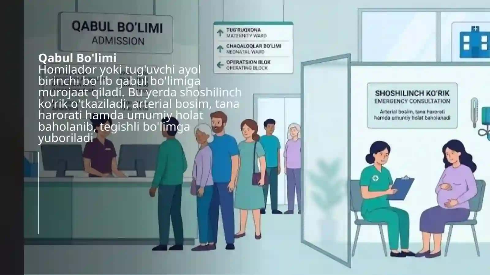 AKUSHERLIK MUASSASALARI TUZILISHI 3
