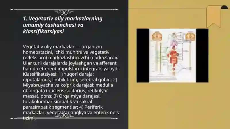 Vegetativ oliy markazlar va ularning funksional ahamiyati 3