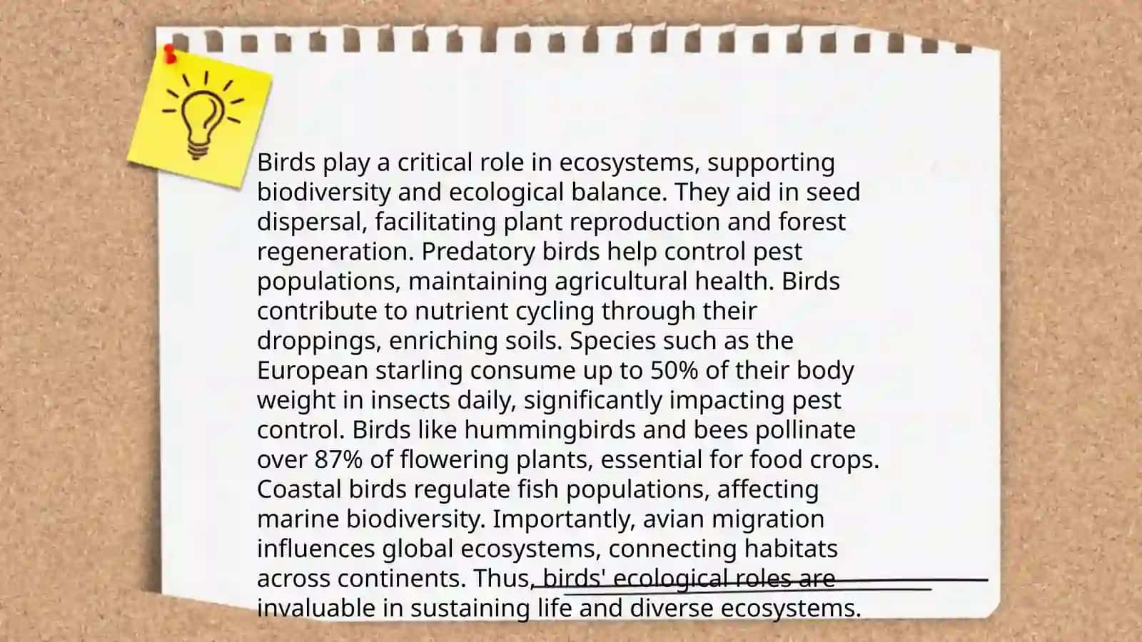 Birds Are Our Friends 3