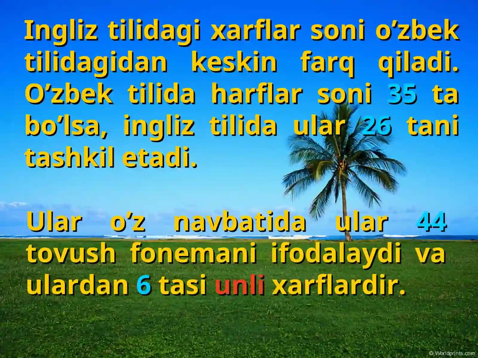INGLIZ TILI FANI O’QITUVCHISI 3