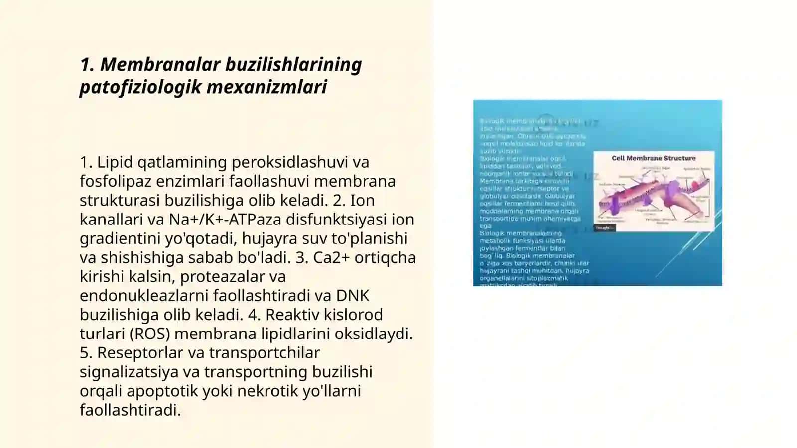 Membranalar buzilishlarni patologik jarayonni kelib chiqishidagi o'rni 3